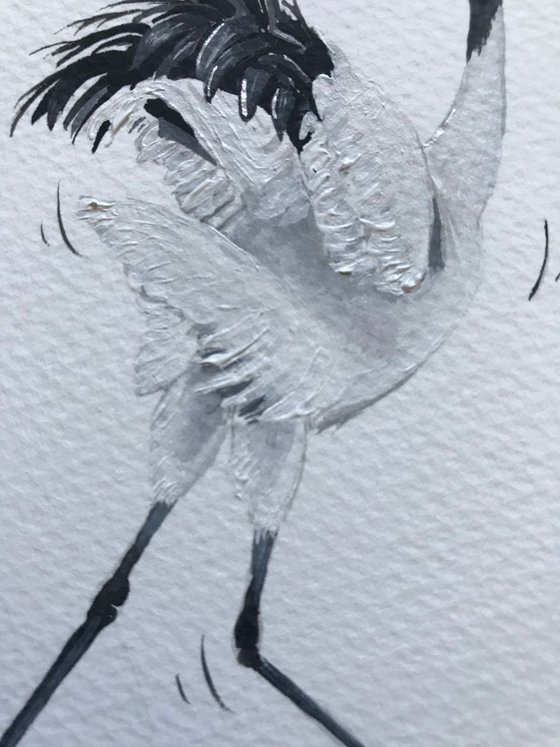 Dance like nobody’s watching (Japanese crane)