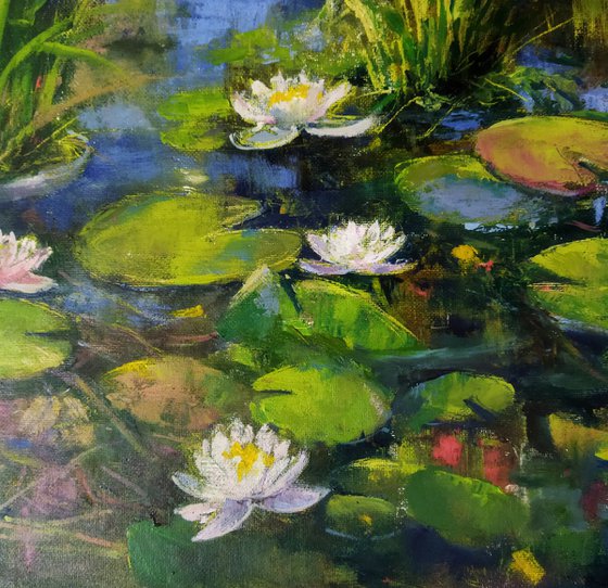 Water Lilies pond
