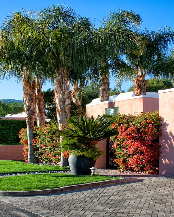 PALMS OF MARRAKESH