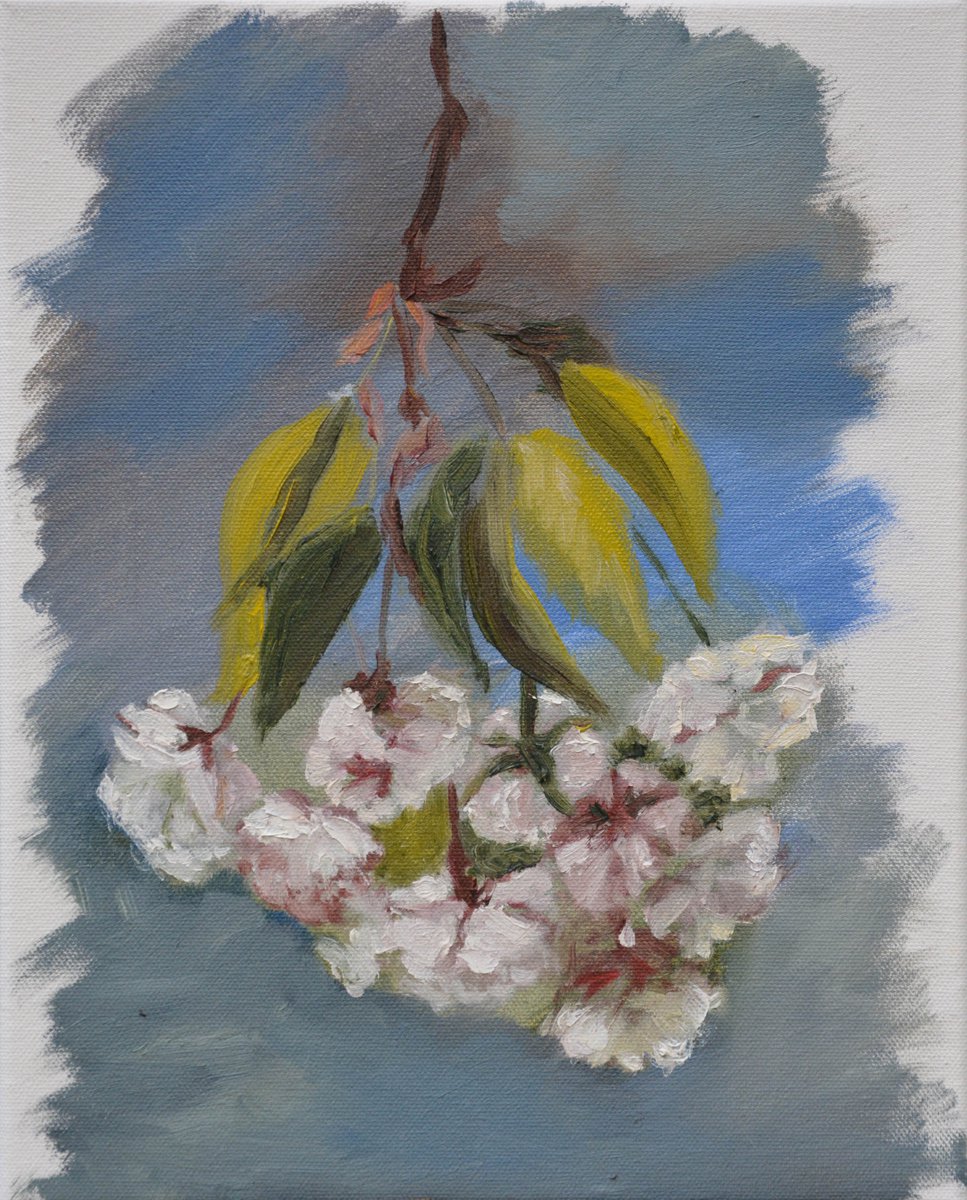 Blooming Sakura, Sakura Painting by Anna Brazhnikova by Anna Brazhnikova