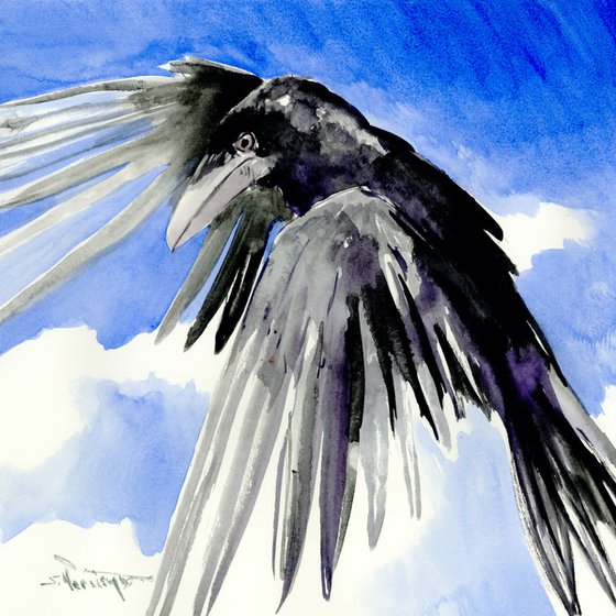 Flying Raven