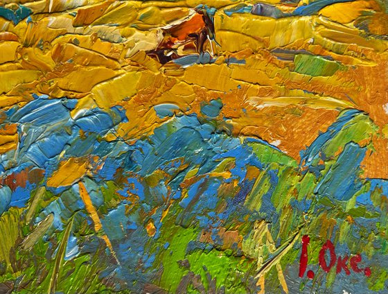 A cow in a field