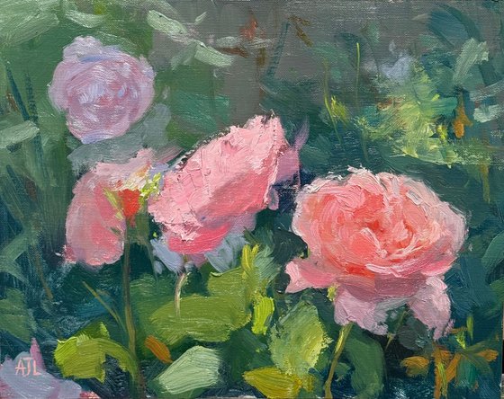 Strawberry Hill Roses