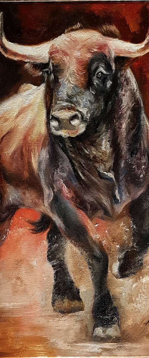 bullfight by Henry Cao