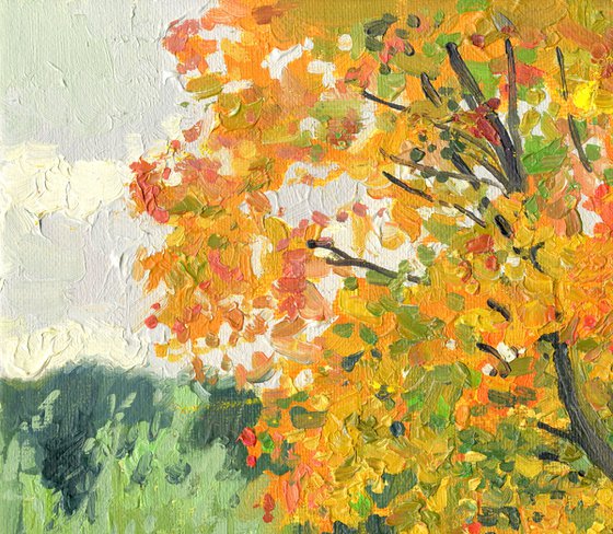 Autumn maple by the pond