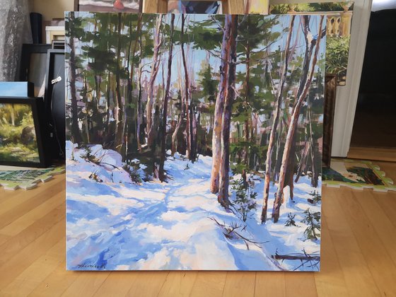 Winter paths #6 (20x20x2")