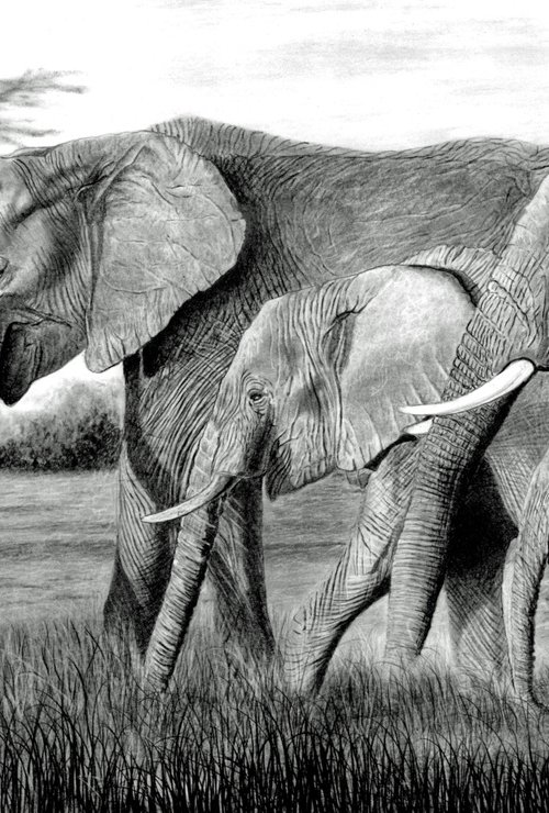 Elephants on the March by Paul Stowe