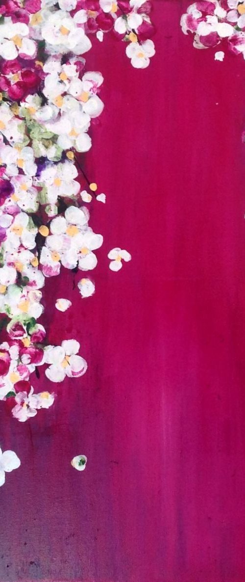 Cherry Blossom Moments by Michelle Carolan