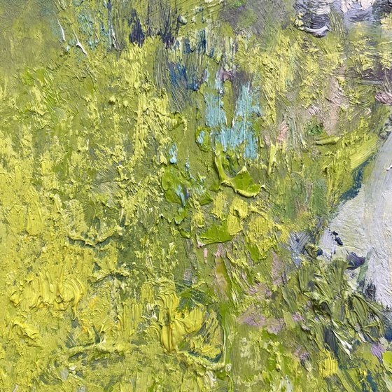 Spring Stream