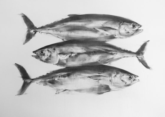 Three Tuna Fish