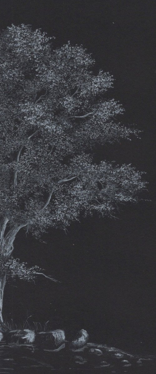 Moonlit tree by Shweta Mahajan