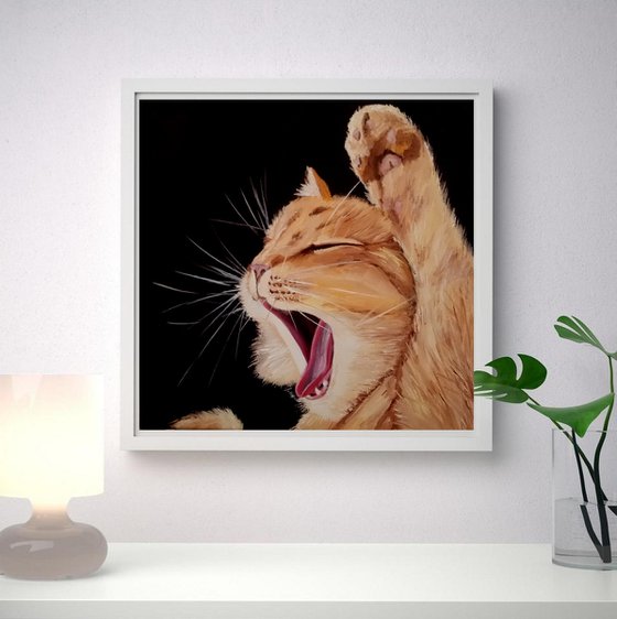 Sweet yawn. Ginger Cat