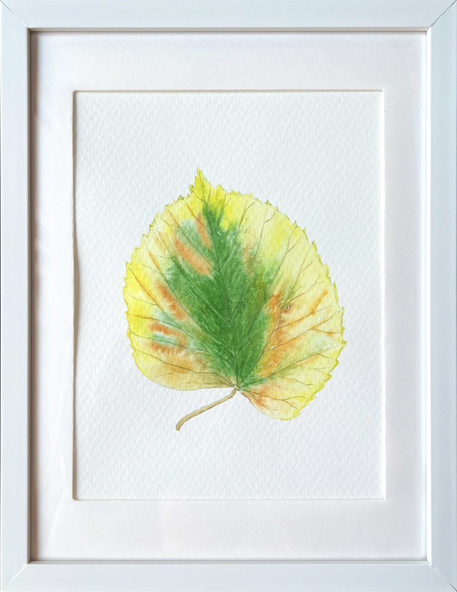 Graphic Botanical Watercolour By Tetiana Kovalova, 8 X 10", Autumn Leaf Sketch #2, Original Artwork