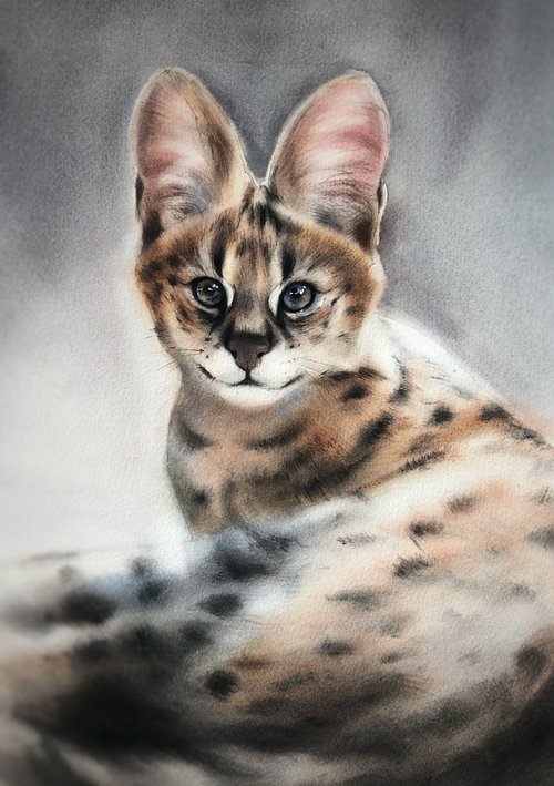 serval by Irina Kukrusova