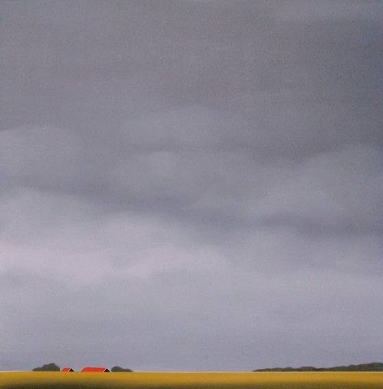 Zuid-Beveland, golden wheat fields