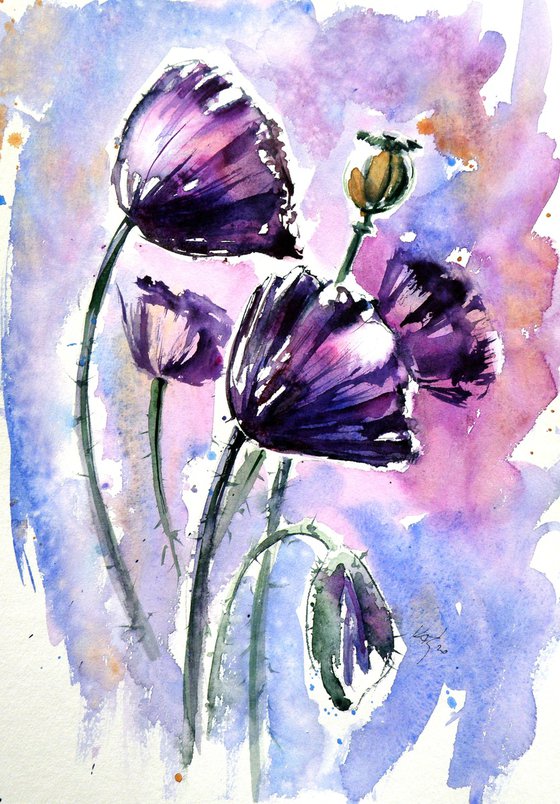 Purple poppies