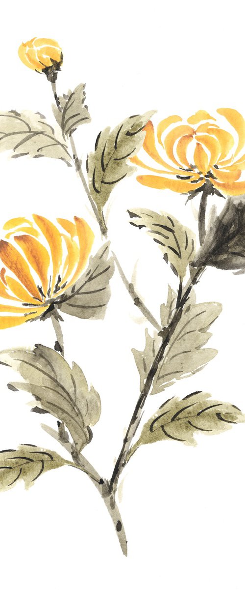 Golden Autumn Chrysanthemum by Hai Doan