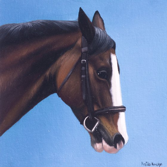 Horse Portrait 80