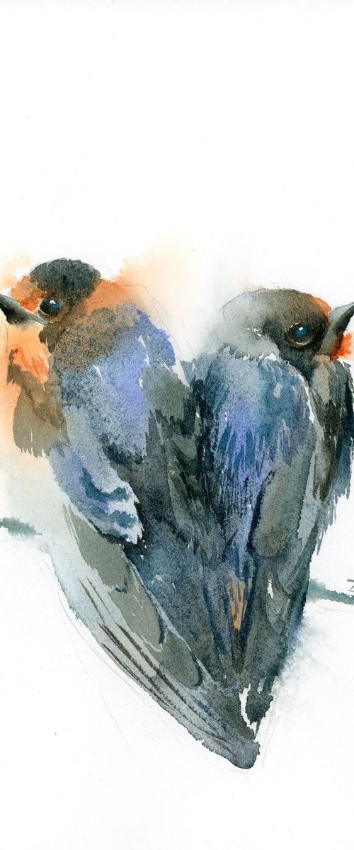 Couple of bluebirds by Olga Tchefranov (Shefranov)