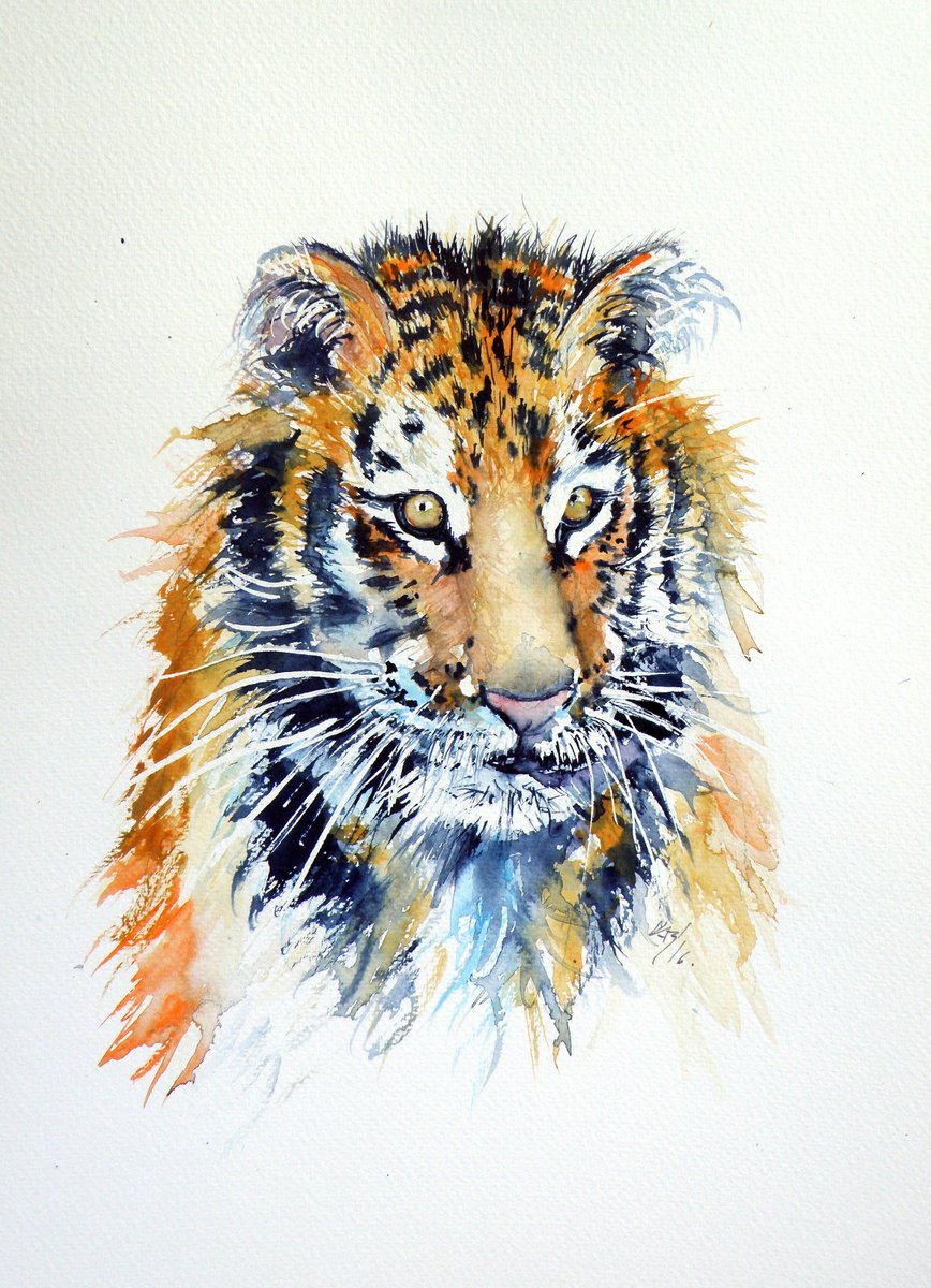 Impressionistic Animal Watercolour By Kovacs Anna Brigitta, 10 X 14", Tiger Cub, Original Artwork