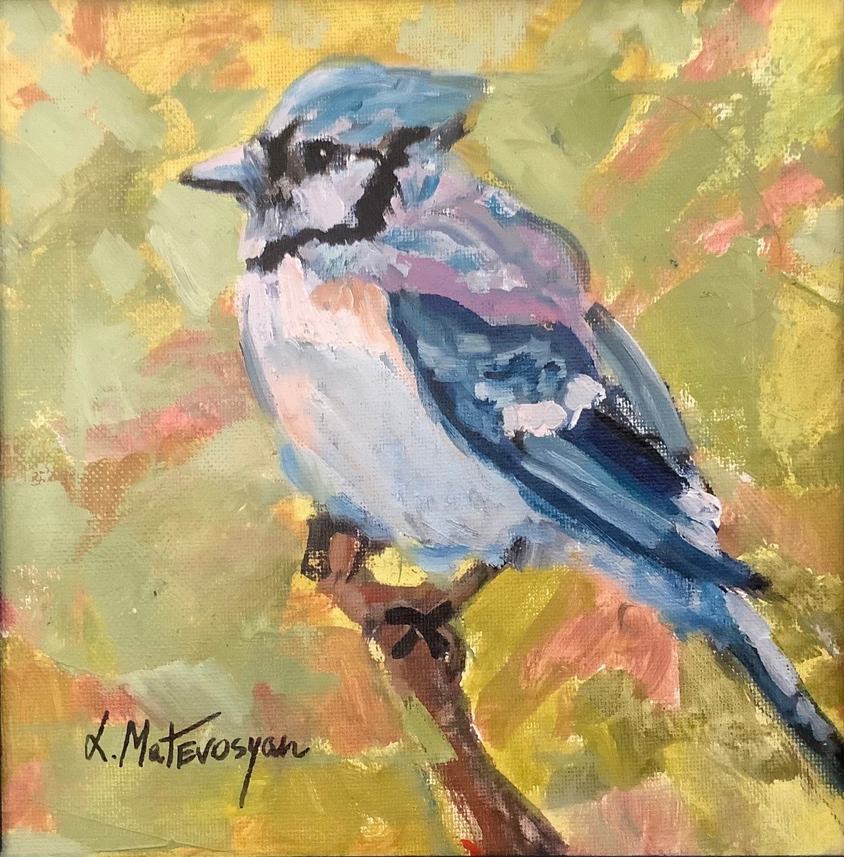 Blue Jay By Lia Matevosyan Haselton, 8 X 8, Artwork For Sale On Artfinder