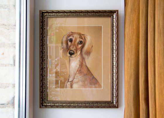 Arabian dog portrait Lady