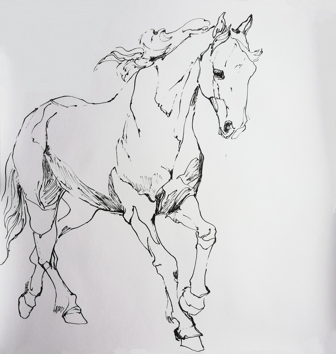 Impressionistic Animal Ink Drawing By Jelena Djokic, 17 X 18, White Horse, Original Artwork