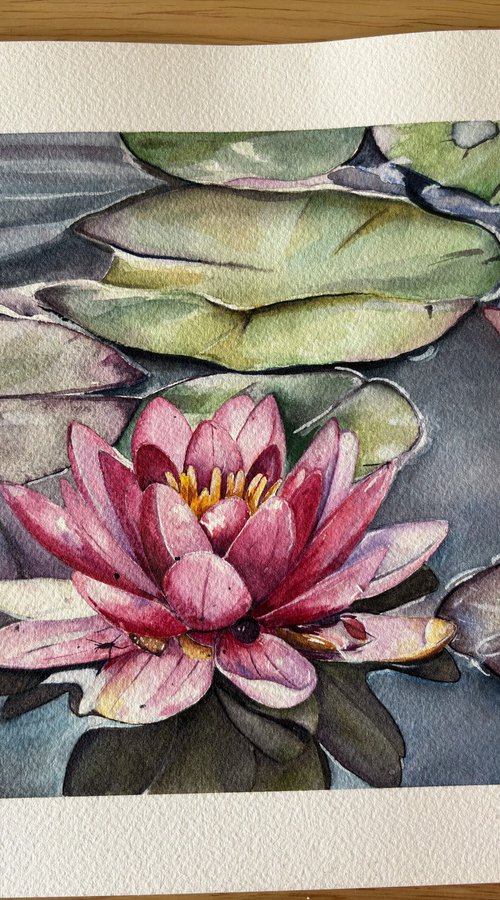 lily pads watercolour painting by Bethany Taylor