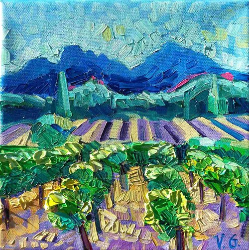 Little vineyards by Vanya Georgieva