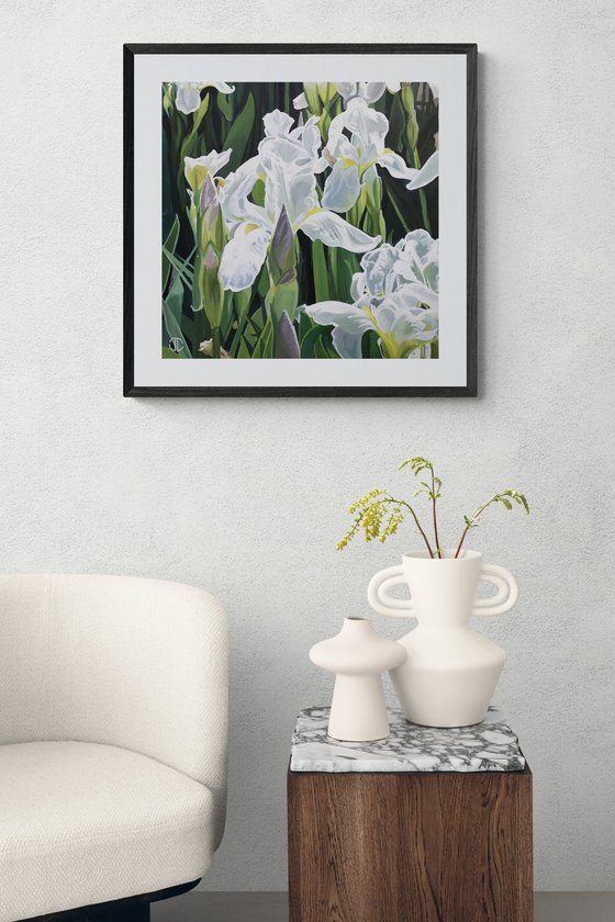 White Iris