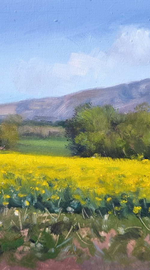 Champs de Rame by Pascal Giroud