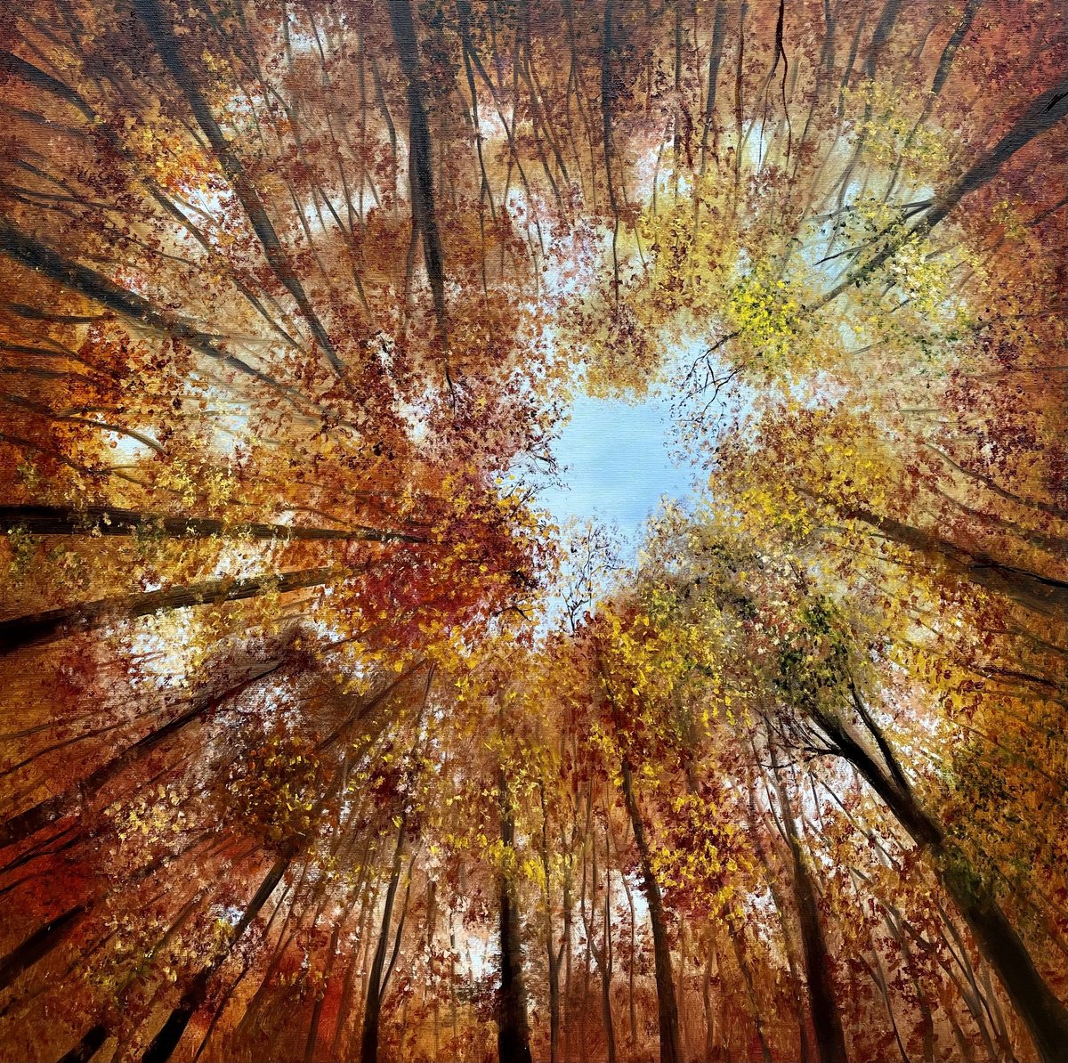 Upward Gaze - Autumn series by Tanja Frost