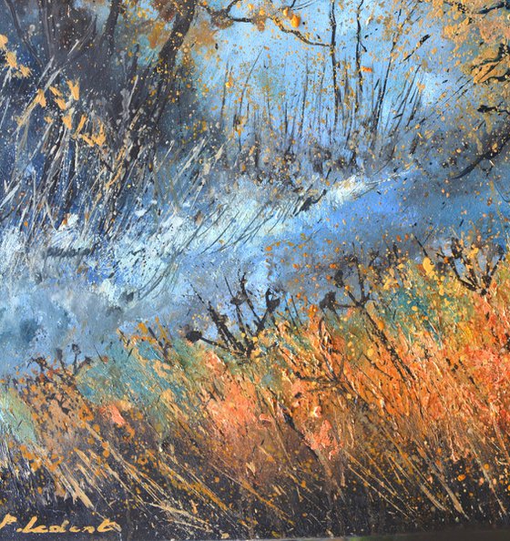 November in the wood