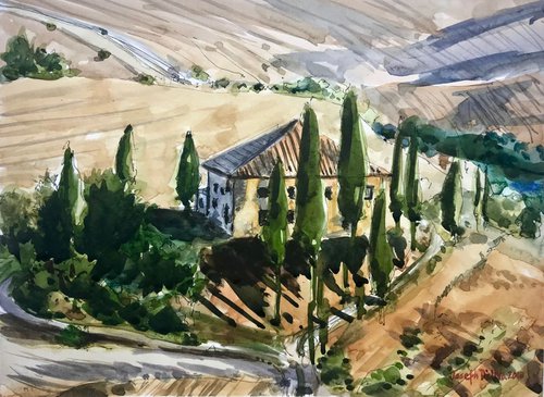 Tuscan Vineyard - Italy by Joseph Peter D'silva