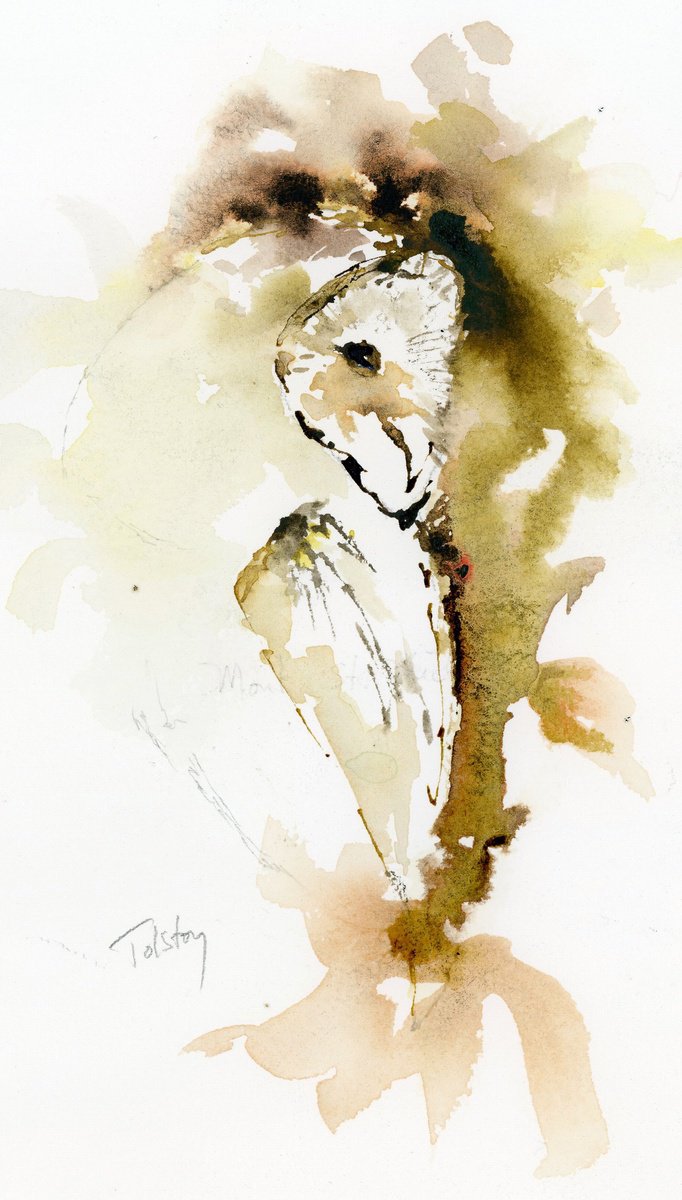 Impressionistic Animal Watercolour By Alex Tolstoy, 8 X 14, Brown Ink Owl, Original Artwork