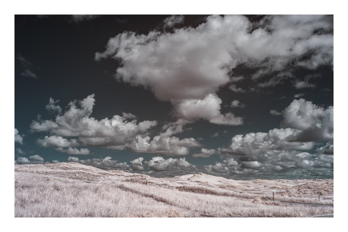 Photorealistic Landscape Photograph By Brooke T Ryan, 24 X 16, Provincelands - 24 X 16, Original Artwork