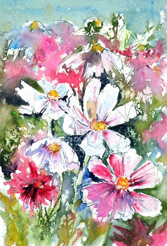 Windflowers