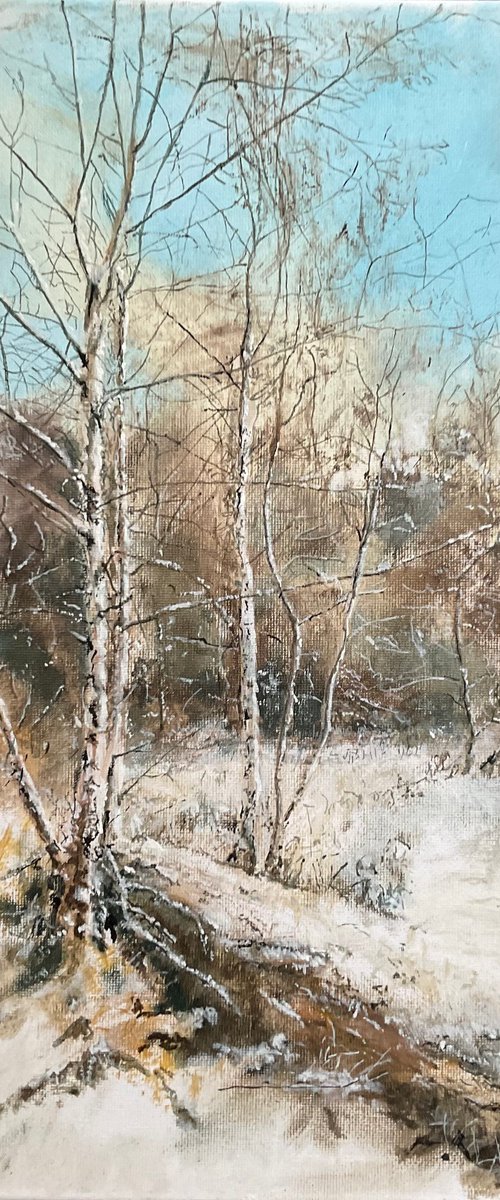 First Snow by Mark Thirlwell