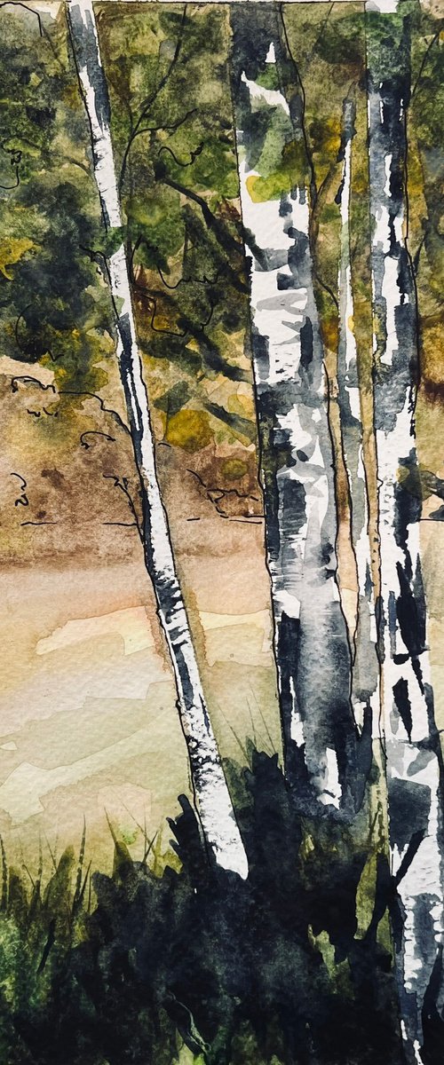 Birch Trees by Carolyn Shoemaker (Soma)