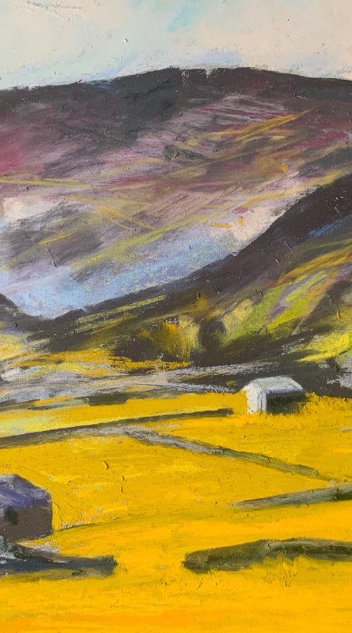 Swaledale Colour by Andrew Moodie