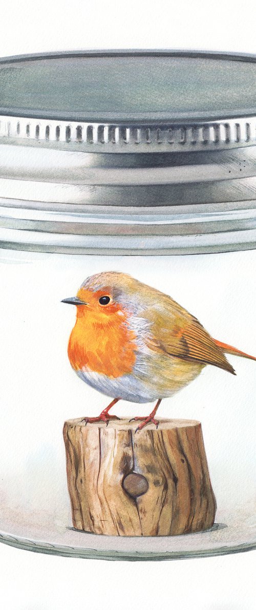 British Robin Red in Jar II by REME Jr.