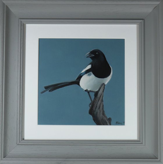 Magpie Painting, Bird Artwork, Animal Art Framed