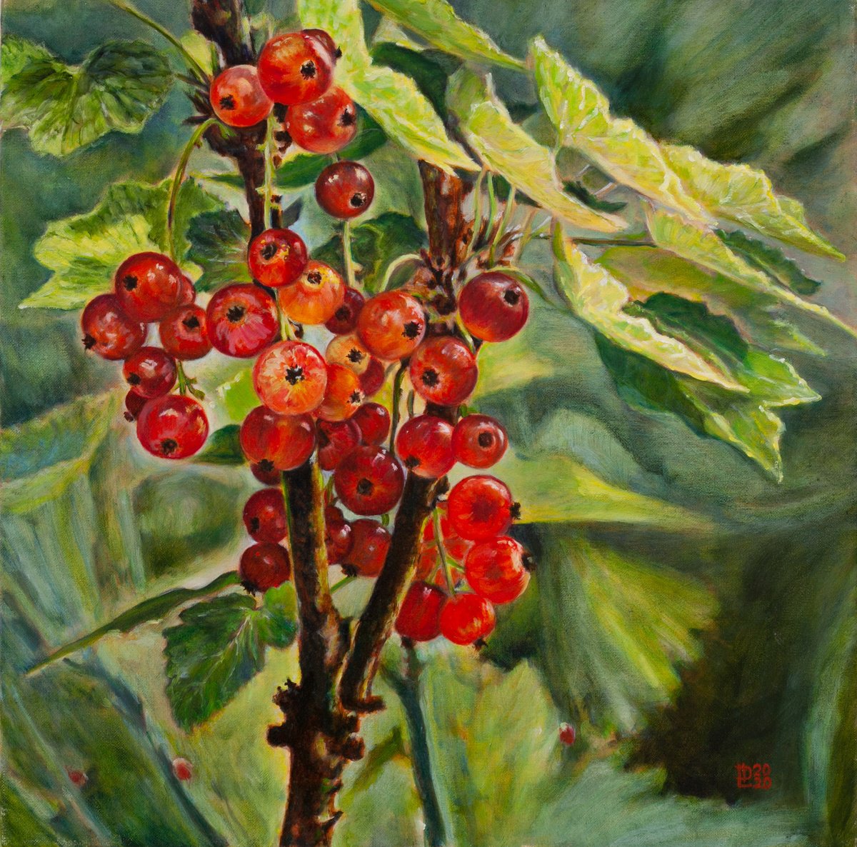 Redcurrants by Liudmila Pisliakova