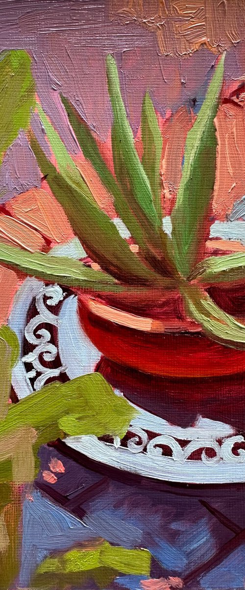 Aloe pot on a table by Anna Bogushevskaya