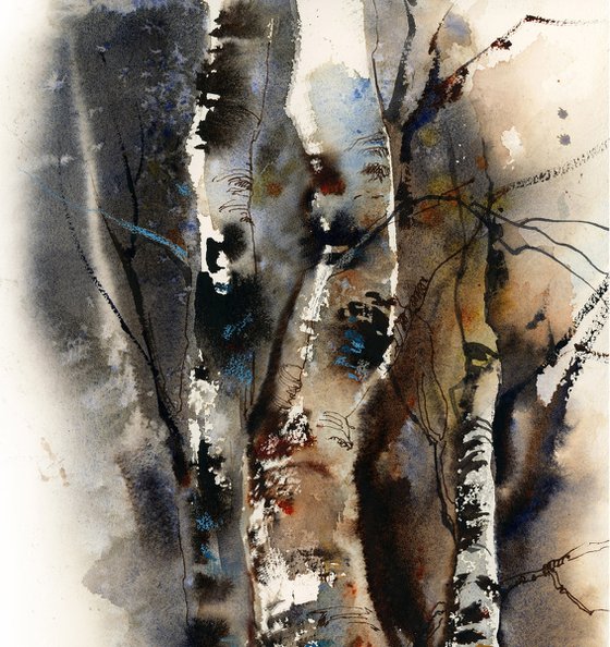 Birch Trees