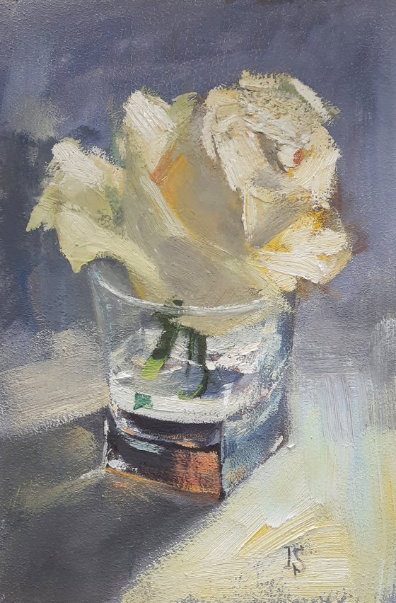 White Rose in the glass