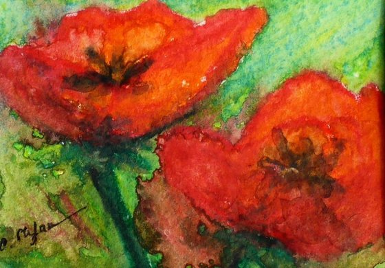Poppies (ACEO with Mat)