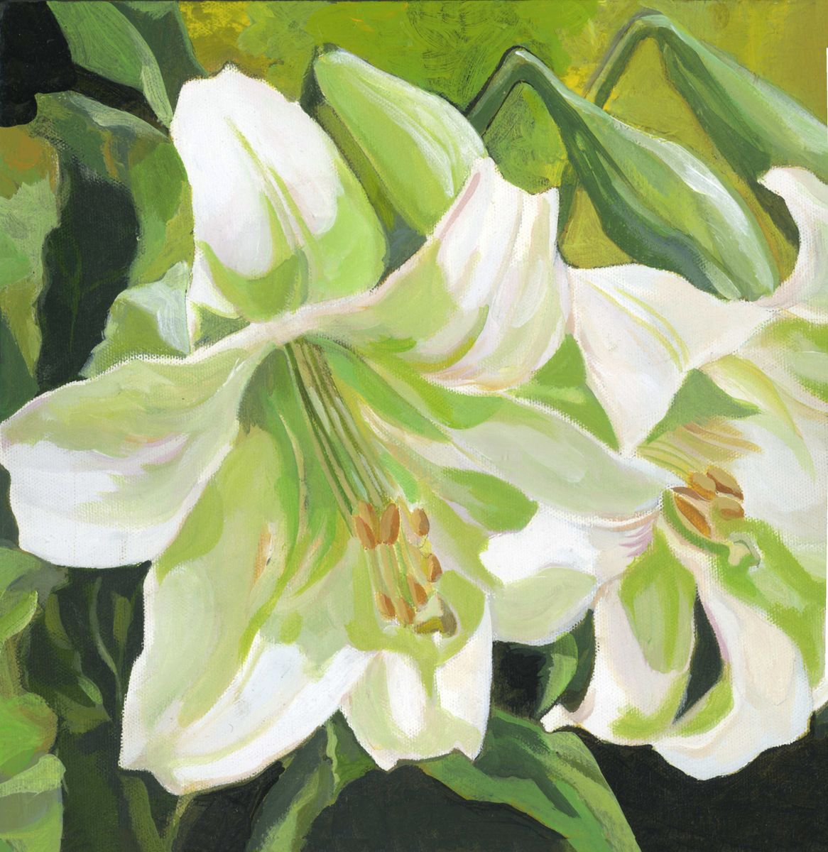 Easter lilies by Alfred Ng