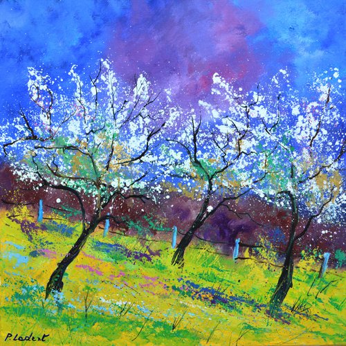 Appletrees in spring - 77 by Pol Henry Ledent