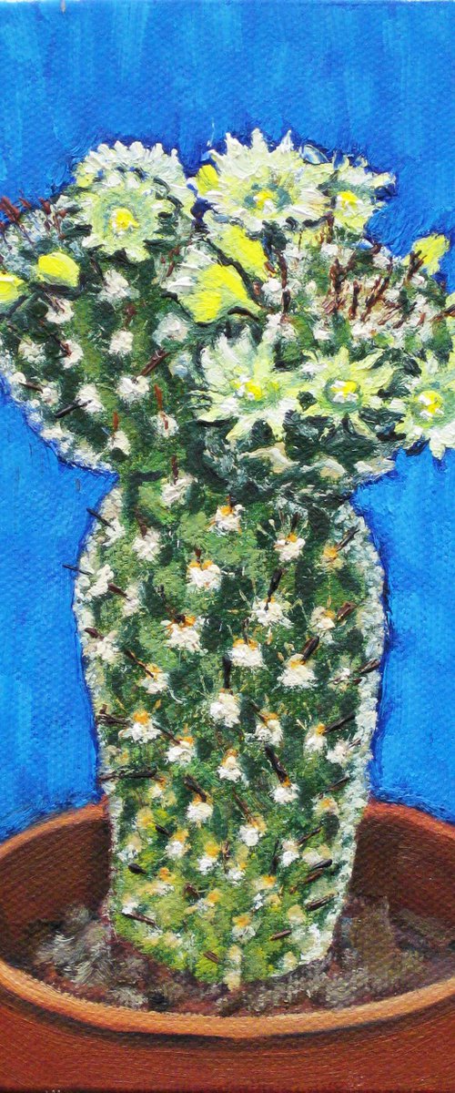 Cactus on a Blue Background by Richard Gibson